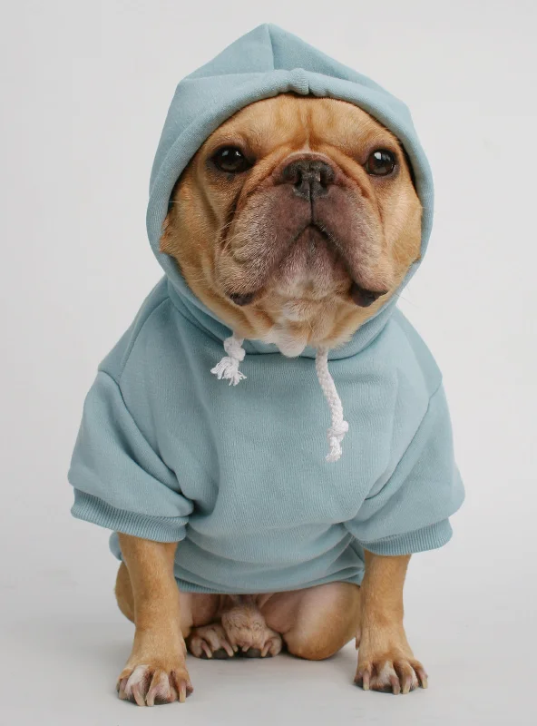 French Style The Jasper Dog Hoodie